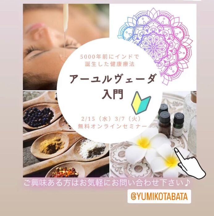 画像252