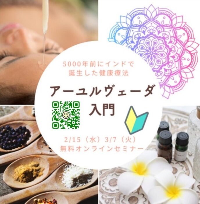 画像256
