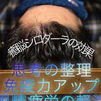 画像343