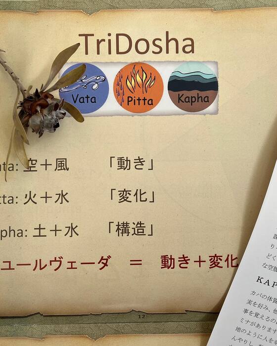 画像368
