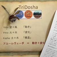 画像394