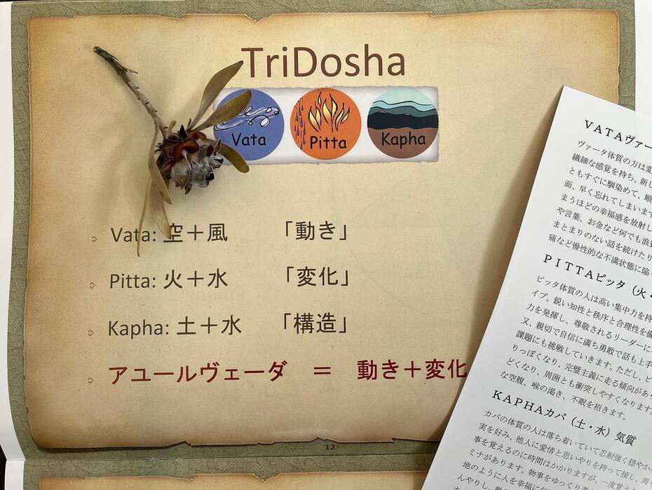 画像394