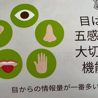 画像401