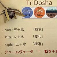 画像445