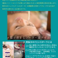 画像446