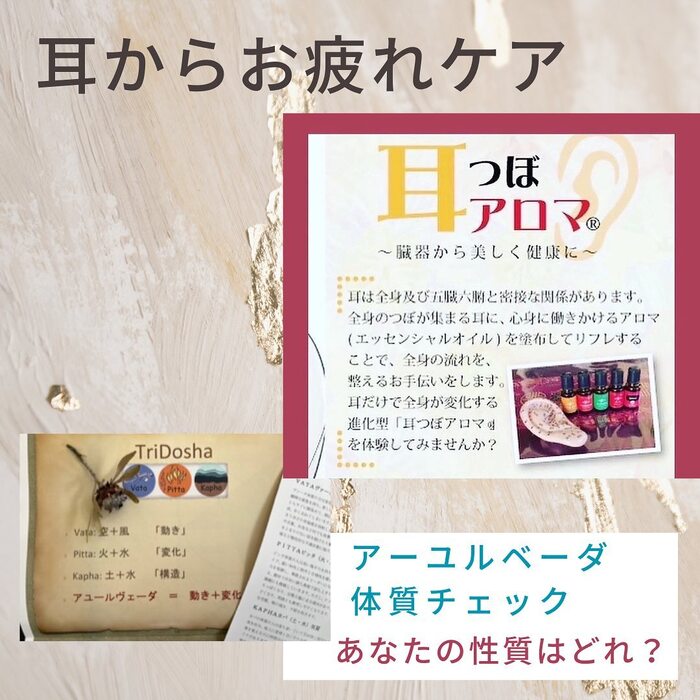 画像459