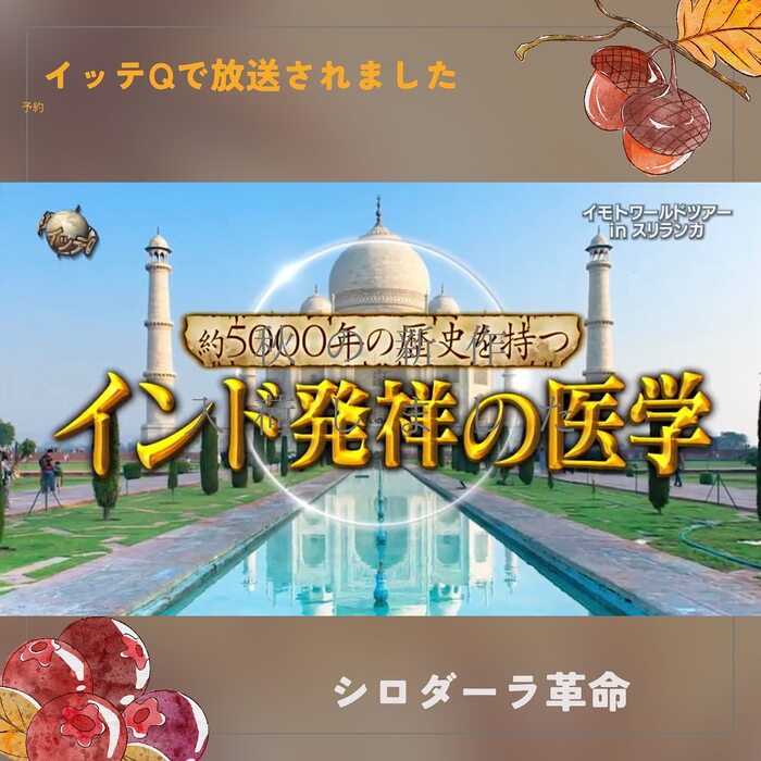 画像528
