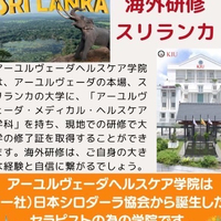 画像662