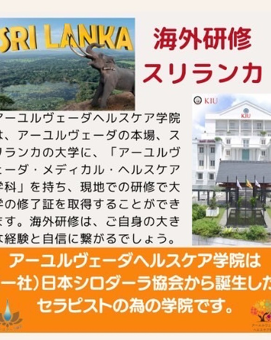 画像662