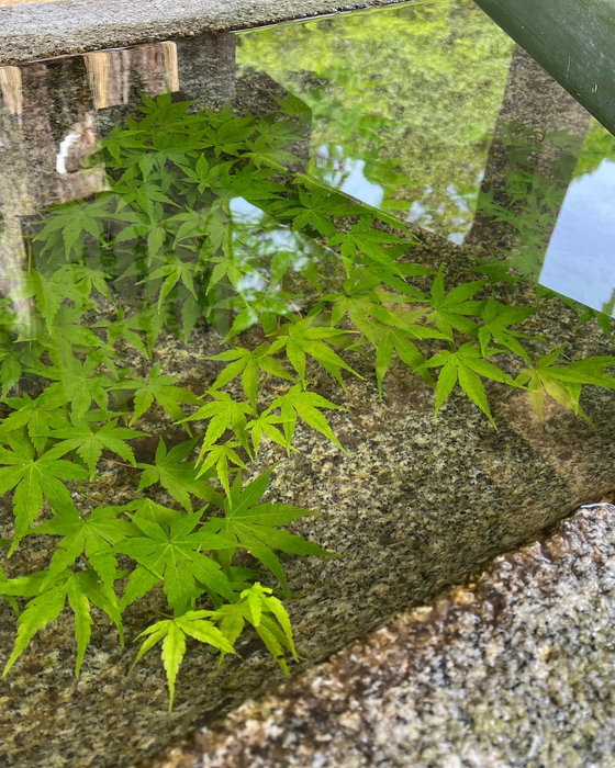 画像702